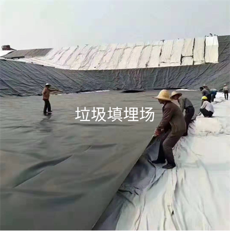 土工膜2.png