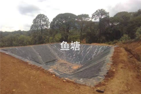 土工膜能使用多长时间